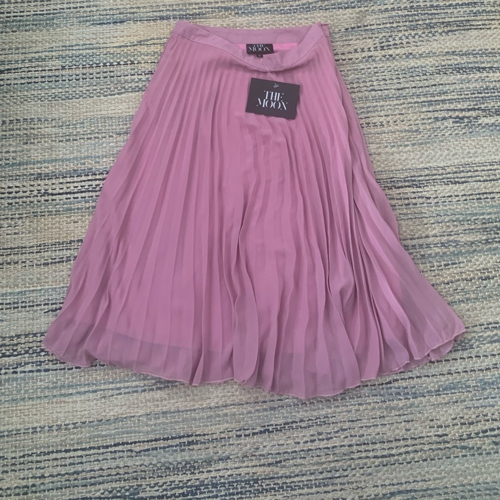Gorgeous Pleated Skirt